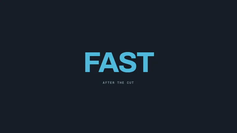 Zoom Punch Cut — A fast accelerating push-in carries a hard frame-exact cut, with the incoming scene decelerating out of an over-scaled state